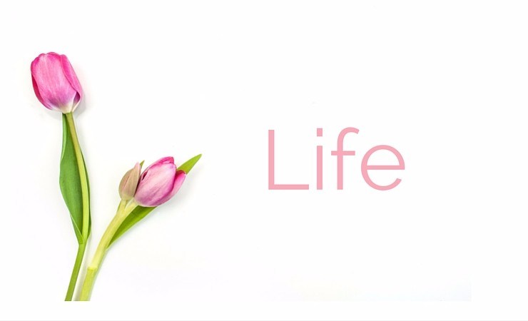 Life (1)